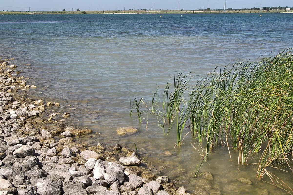 Lake Pflugerville viewed from its rocky shoreline