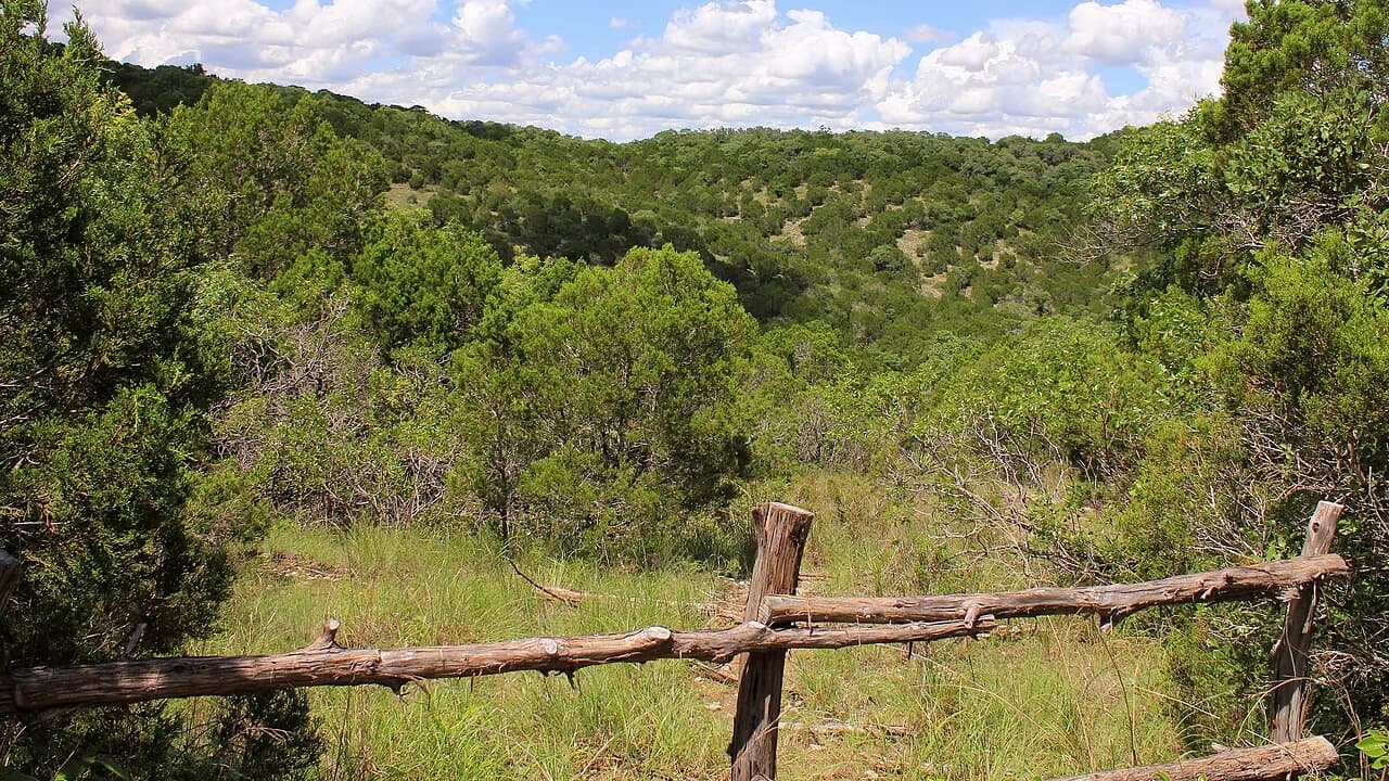 Nearby Austin: Wild Basin Wilderness Preserve